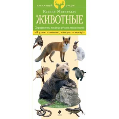 Животные. Определитель животных русских лесов и полей