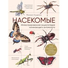 Насекомые. Иллюстрированная энциклопедия начинающего энтомолога. 240 популярных видов, которые обитают рядом с нами