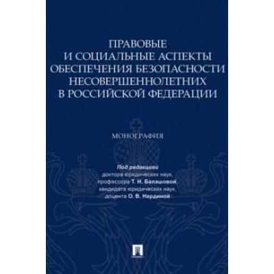 Правовые и социальные аспекты обеспечения безопасности несовершеннолетних в Российской Федерации. Монография