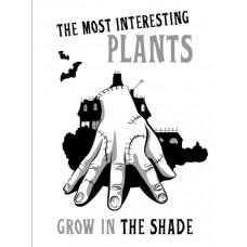 The Most Interesting Plants Grow in the Shade