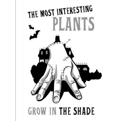 The Most Interesting Plants Grow in the Shade